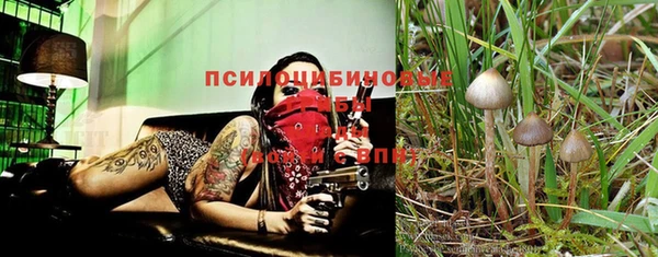скорость Балабаново