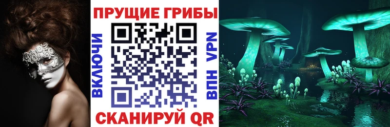 Галлюциногенные грибы мухоморы Заинск