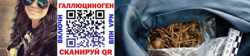 darknet Telegram  Заинск  Псилоцибиновые грибы GOLDEN TEACHER 